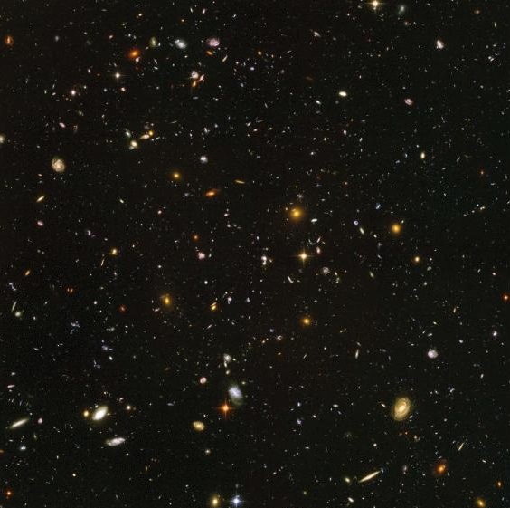 cosmos