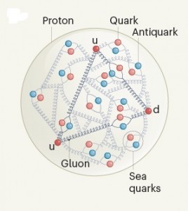 proton-nature-fevereiro-2021